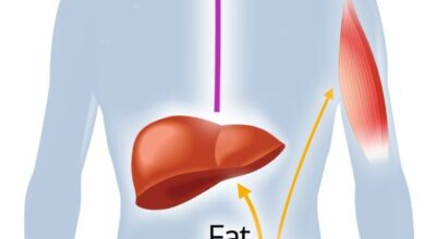 Keto Diet Science