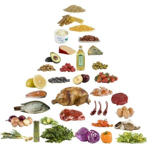 keto and low cab diets