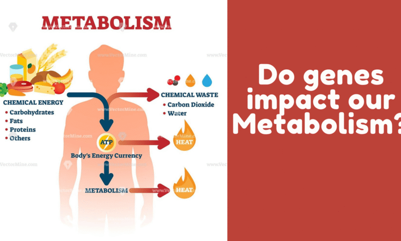 the keto diet