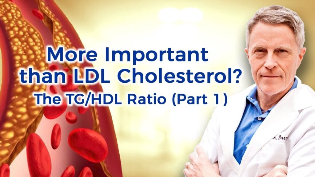 Triglyceride-to-HDL Ratio: The Hidden KPI Most Doctors Miss
