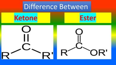 ketone esters