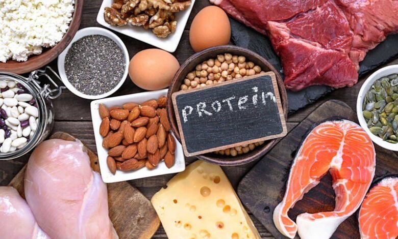 High-Protein Diets for Rapid Weight Loss