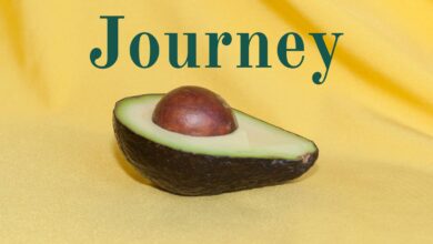 revitalize keto journey